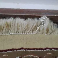 فرش ۱۲متری طرح برجسته|فرش|قشم, |دیوار