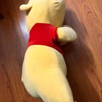 عروسک خرس|اسباب‌بازی بچه|مشهد, دانشجو|دیوار