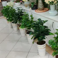 گلدان کنار سالنی پر پشت و زیبا