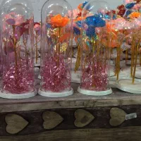 پخش گل هفت رنگ|گل مصنوعی|تبریز, |دیوار