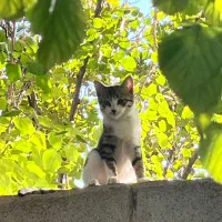 همایش مدیتیشن گروهی