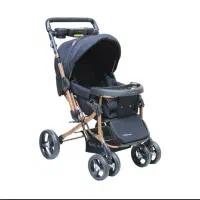 کالسکه|کالسکه و لوازم جانبی|کازرون, |دیوار