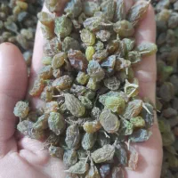 کشمش بدون هسته سایه خشک