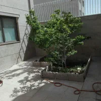 همکف-از-دو-طبقه-حیاط-اختصاصی-نسیم-5