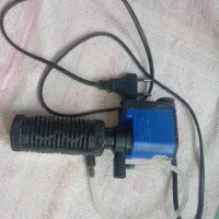 اکواریوم