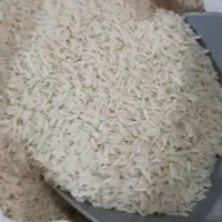 فروش ویژه طارم گرگان