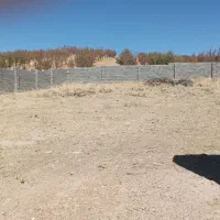 زمین باغ شهری 1000 متری واقع در حسین آباد کودیان|فروش زمین و ملک کلنگی|شیراز, کودیان|دیوار