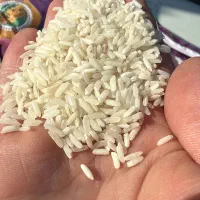 پخش عمده برنج تایلندی اروگوئه وهومالی