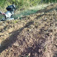 شخم زدن با تیلر کولتیواتور|خدمات باغبانی و درختکاری|مینودشت, |دیوار