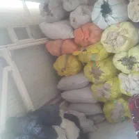 خامه و مصالح فرش|لوازم خیاطی و بافتنی|خواجه, |دیوار