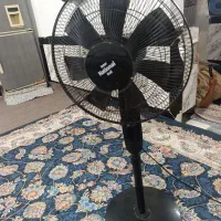 پنکه زمینی
