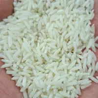 برنج هاشمی و علی کاظمی درجه شمال ارگانیک