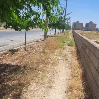 زمین-ضابطه-دار-بلوار-عرفان