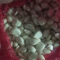 کارگر ساده خانم