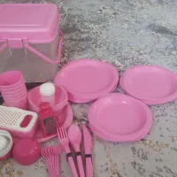 پک ظرف همراه