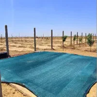 زمین باغی سند دار|فروش زمین و ملک کلنگی|شاهین‌شهر, گرگاب|دیوار