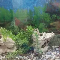 آکواریوم ۲ متری