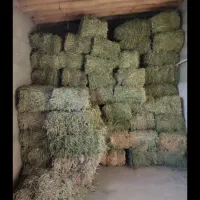 یونجه پرس و بیده درجه یک کیلو 45