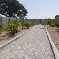 باغچه-چهار-دیواری-شده-با-سند-شش-دانگ