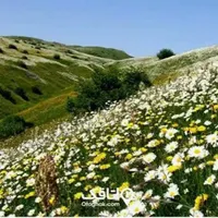 سفر کاروانی  به آبگرم سرعین اردبیل دوروزه|تور و چارتر|رشت, آب و برق|دیوار