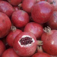 انار دون قرمز آبدار ساوه بصورت عمده|حراج|ساوه, |دیوار