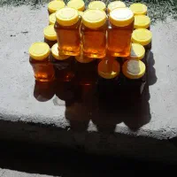 عسل طبیعی|خوردنی و آشامیدنی|محمدبار, |دیوار