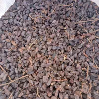 کشمش مویز،بیدانه،یاقوتی|خوردنی و آشامیدنی|زرندیه, |دیوار