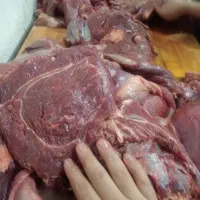 پخش گوشت گاوی واسه رستوران