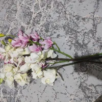 گل زیبا سالم|گل مصنوعی|قرچک, شهرک گلها|دیوار