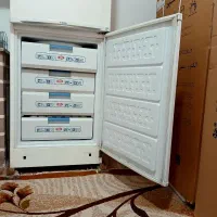 یخچال فریزر تارا|یخچال و فریزر|تربت جام, المهدی|دیوار