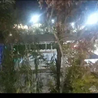 رهن و اجاره باغ