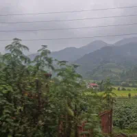 فروش-زمین-باغ-شهری-کودیون-با-در-و-دیوار