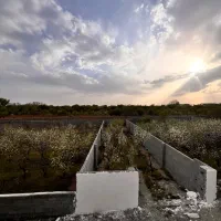 ۳۹۵ زمین جابان دماوند سند برق ۲۰۰متری جاده|فروش زمین و ملک کلنگی|دماوند, دماوند|دیوار