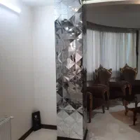 آیینه/ دکوراتیو/شاخه آیی/مدرن/نصب حرفه ایی