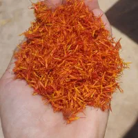 فروش گلرنگ|خوردنی و آشامیدنی|اصفهان, کنگاز|دیوار