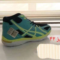 کفش|کیف، کفش، کمربند|اهواز, شهرک دانشگاه|دیوار