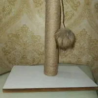 اسکرچر