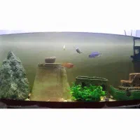 گوپیو سیچیلاید