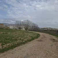 فروش-زمین-چالسرا