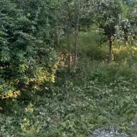 زمین به متراژ۳۰۰متر