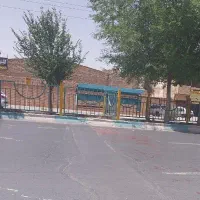 پیگ موتوری در فست فود