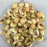 انجیر گنجشکی|خوردنی و آشامیدنی|شیراز, شاهچراغ|دیوار