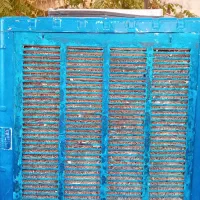 کولر آبی ۷۰۰۰ بالا زن سالم