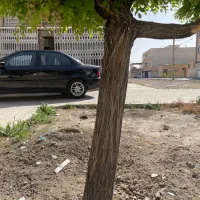 معاوضه ی تجاری با مسکونی کوی کارمندان|فروش مغازه و غرفه|شاهین‌شهر, شهرک گلدیس|دیوار