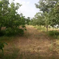 باغ