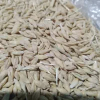 جو  شونه ای درجه یک