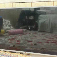 تلوزیون الجی ال سی دیش خرابه