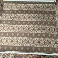 پرده ی زبرا