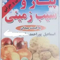 پیاز و سیب‌زمینی به قیمت میدان بار