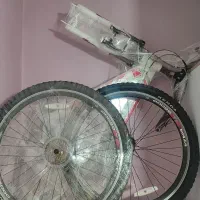 دو عدد دو چرخه ویوا